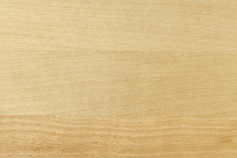 Maple Plywood